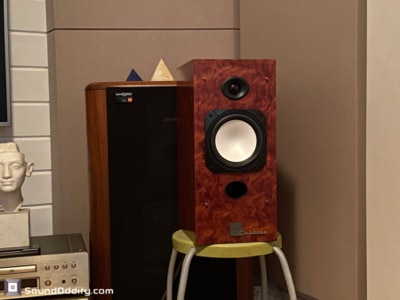 Corvette 301 Bubinga