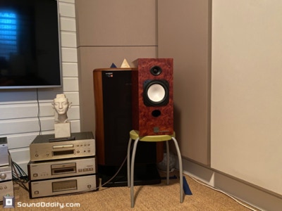 Corvette 301 Bubinga